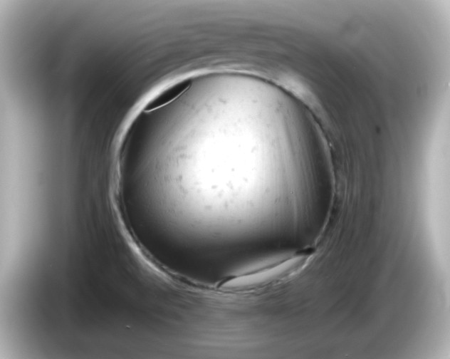 X0000086031520200704091123