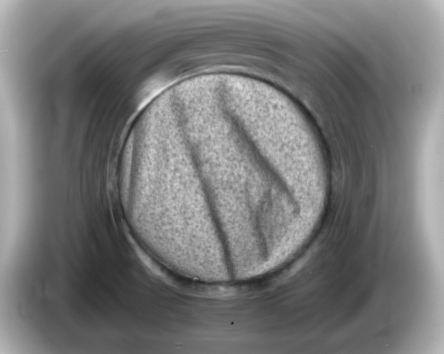 X0000086031521200704091123