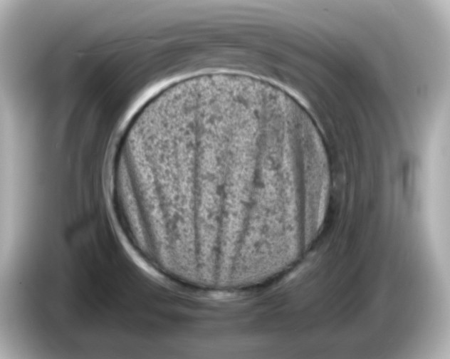 X0000086031523200704091123