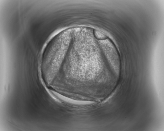 X0000086031525200704091123