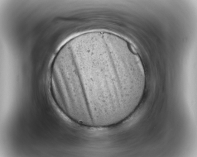 X0000086031526200704091123