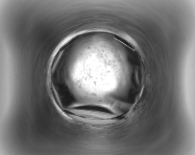 X0000086031528200704091123