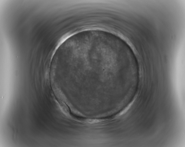 X0000086031529200704091123