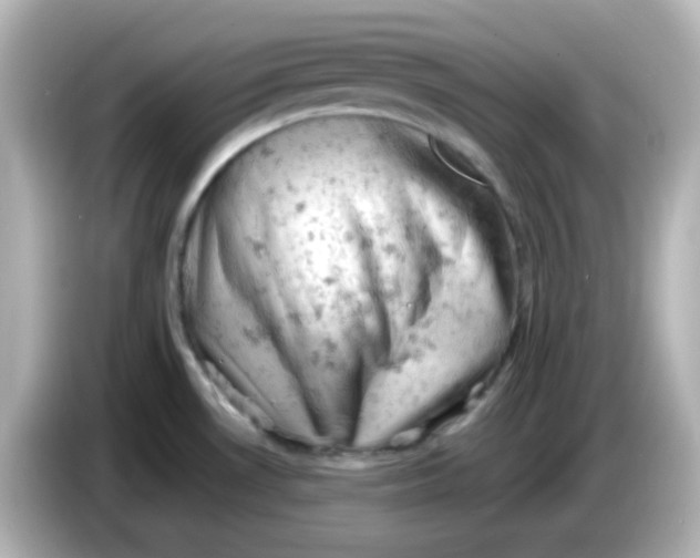 X0000086031530200704091123