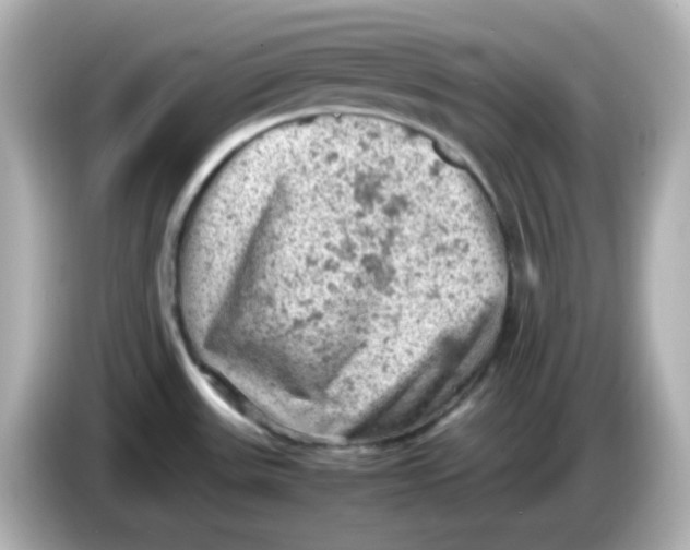 X0000086031531200704091123