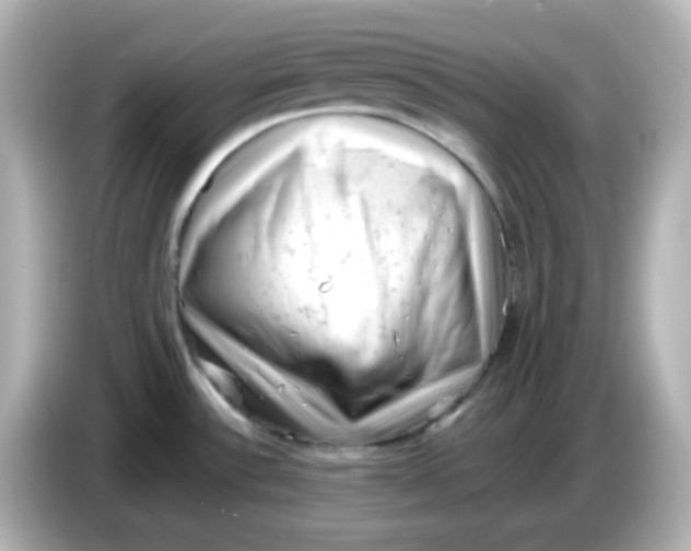 X0000086031532200704091123