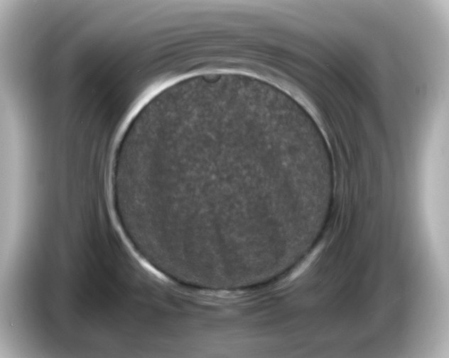 X0000086031533200704091123