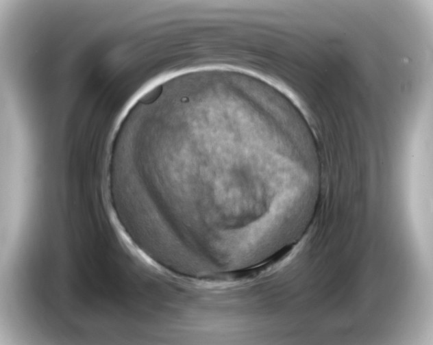 X0000086031534200704091123