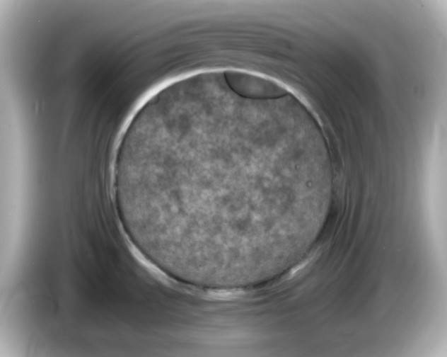 X0000086031535200704091123