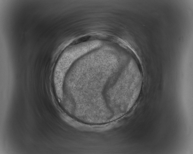 X0000086030001200704131923