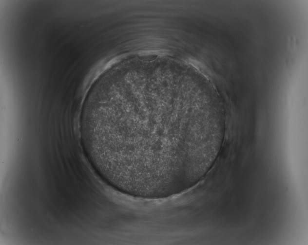 X0000086030002200704131923