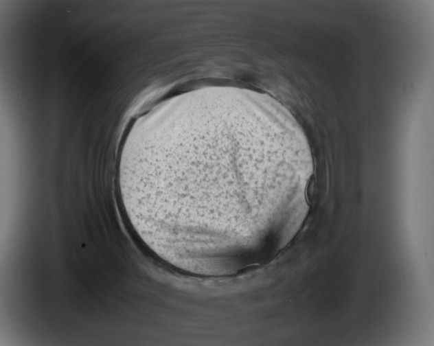 X0000086030003200704131923