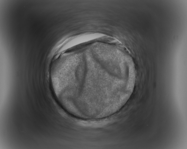 X0000086030005200704131923