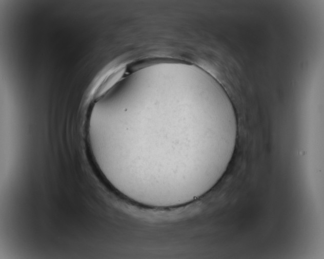 X0000086030007200704131923