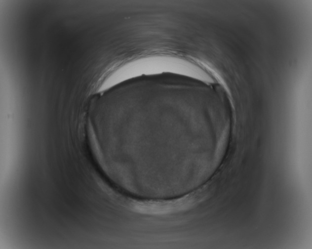 X0000086030009200704131923