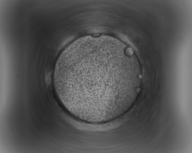 X0000086030010200704131923