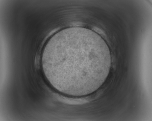 X0000086030012200704131923