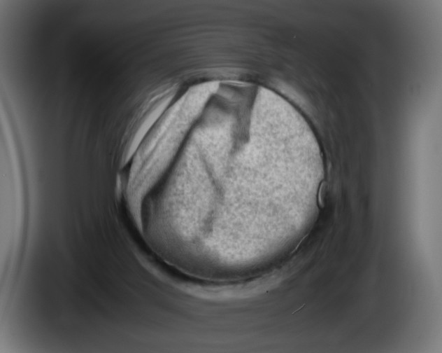 X0000086030013200704131923