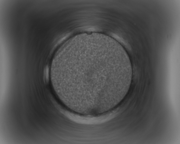 X0000086030014200704131923