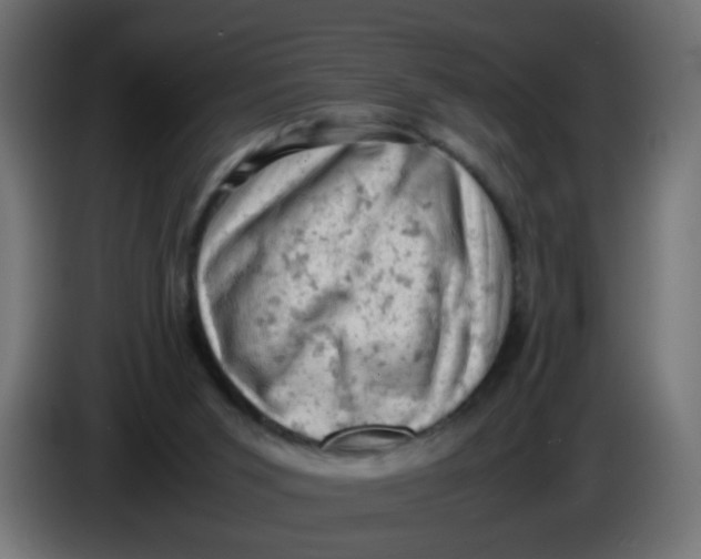 X0000086030015200704131923