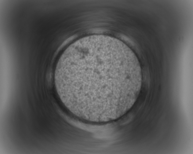 X0000086030016200704131923