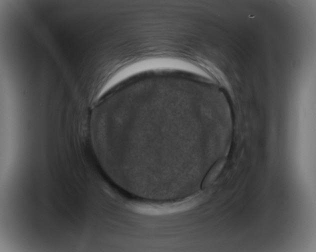 X0000086030017200704131923