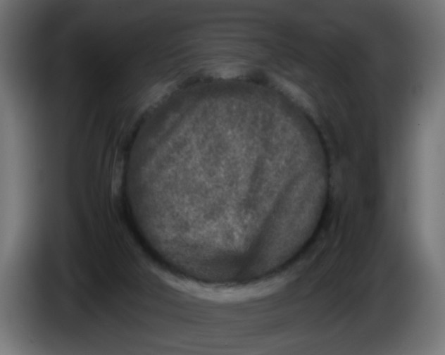 X0000086030018200704131923