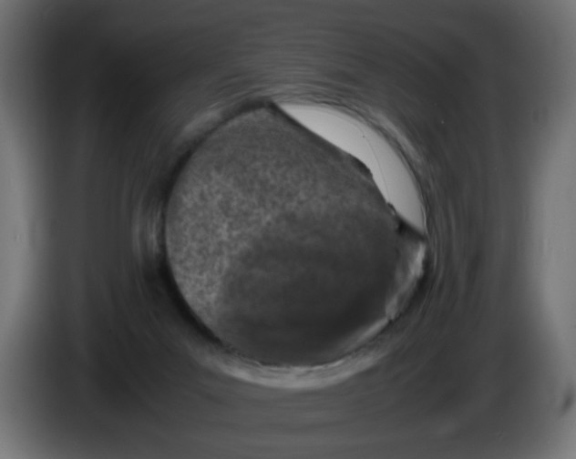 X0000086030023200704131923