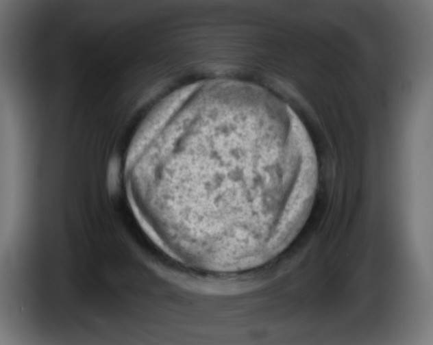 X0000086030024200704131922