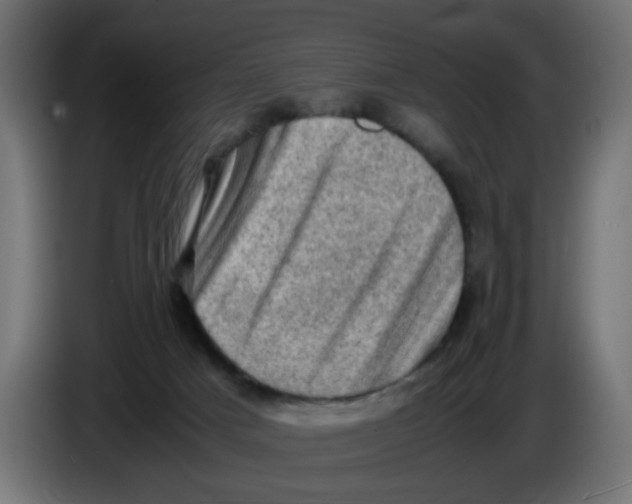 X0000086030025200704131922