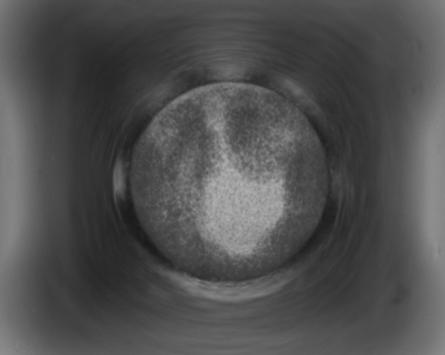 X0000086030026200704131922