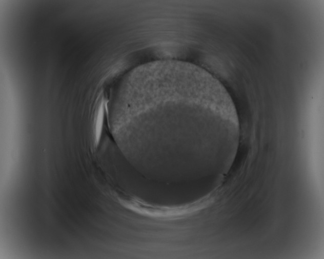 X0000086030027200704131922