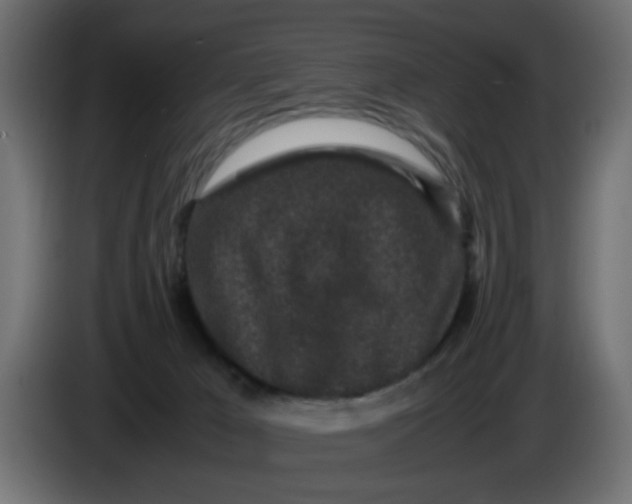 X0000086030029200704131922