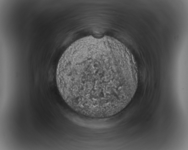 X0000086030032200704131922