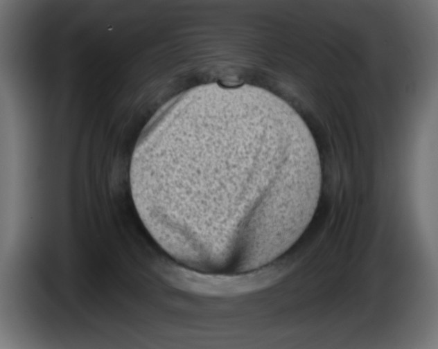 X0000086030034200704131922