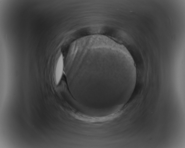 X0000086030035200704131922