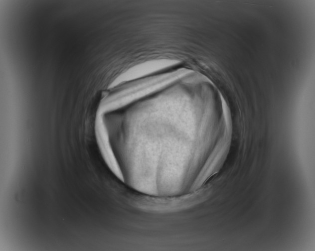 X0000086030037200704131922