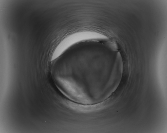 X0000086030039200704131922