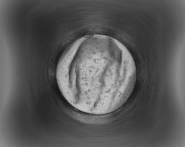 X0000086030040200704131922