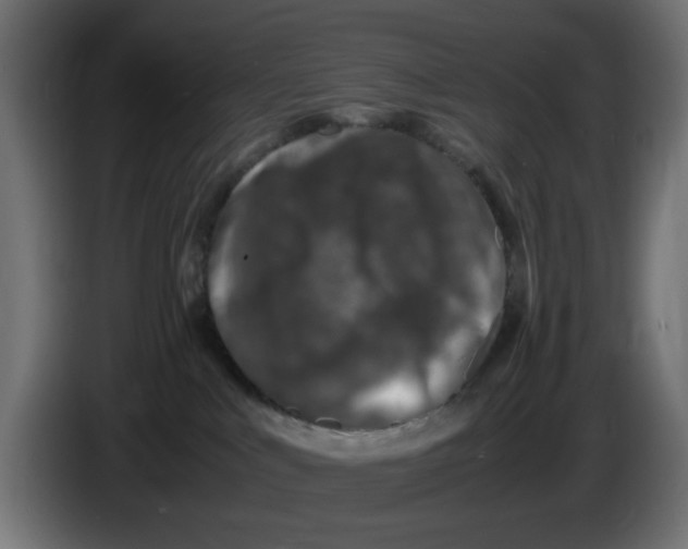 X0000086030043200704131922