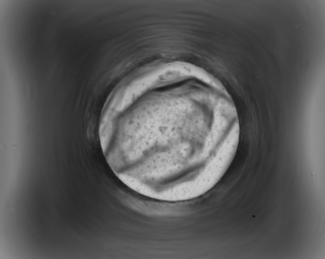 X0000086030044200704131922