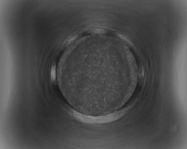 X0000086030046200704131922