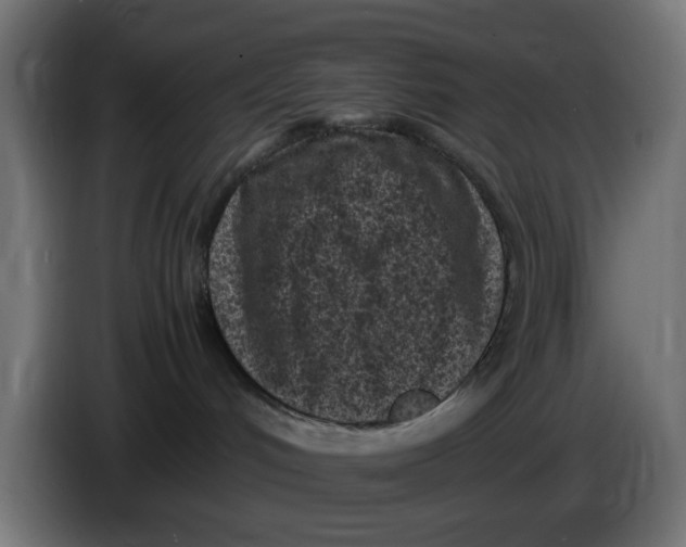 X0000086030048200704131922