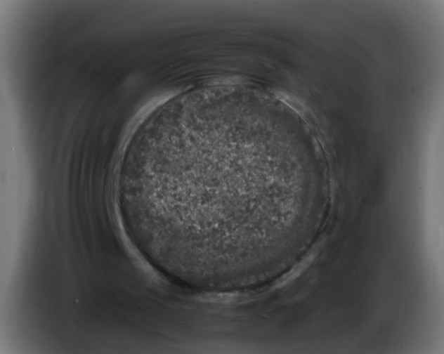 X0000086030049200704131921