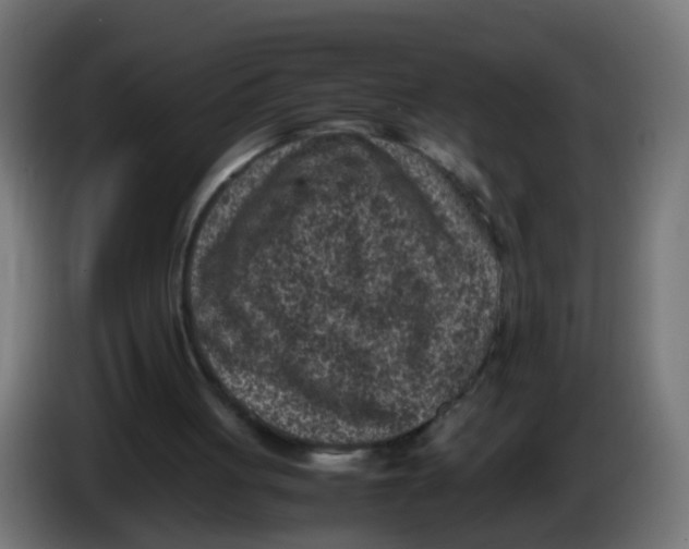 X0000086030051200704131921