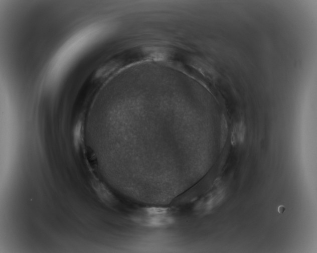 X0000086030052200704131921