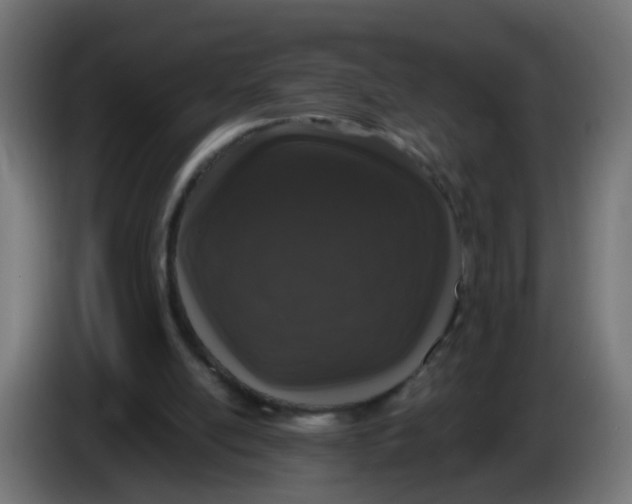 X0000086030054200704131921