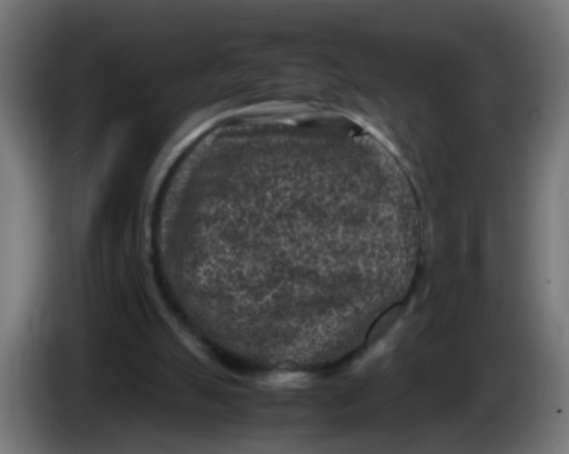 X0000086030055200704131921