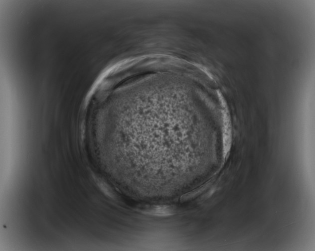 X0000086030056200704131921