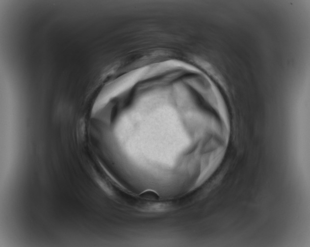 X0000086030057200704131921